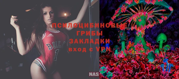 трава Аркадак