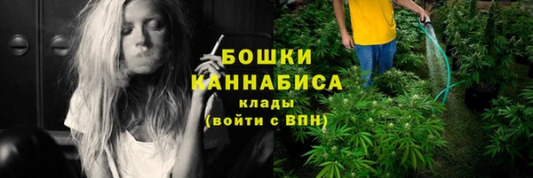 трава Аркадак