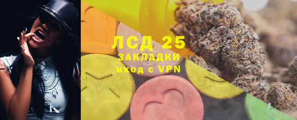 трава Аркадак